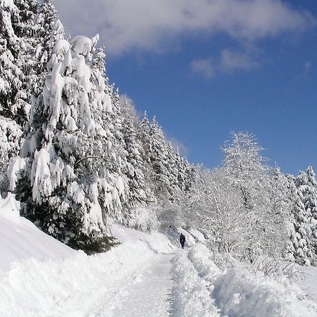 Ferienwohnung Am Eisweiher Titisee-Neustadt Bagian luar foto