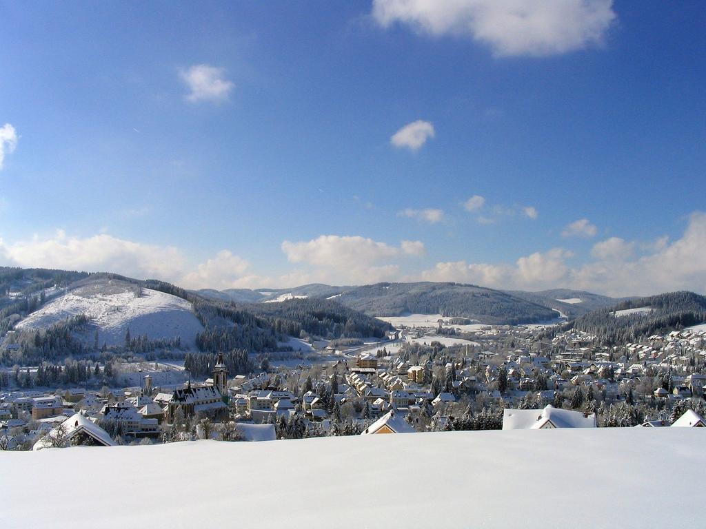 Ferienwohnung Am Eisweiher Titisee-Neustadt Bagian luar foto