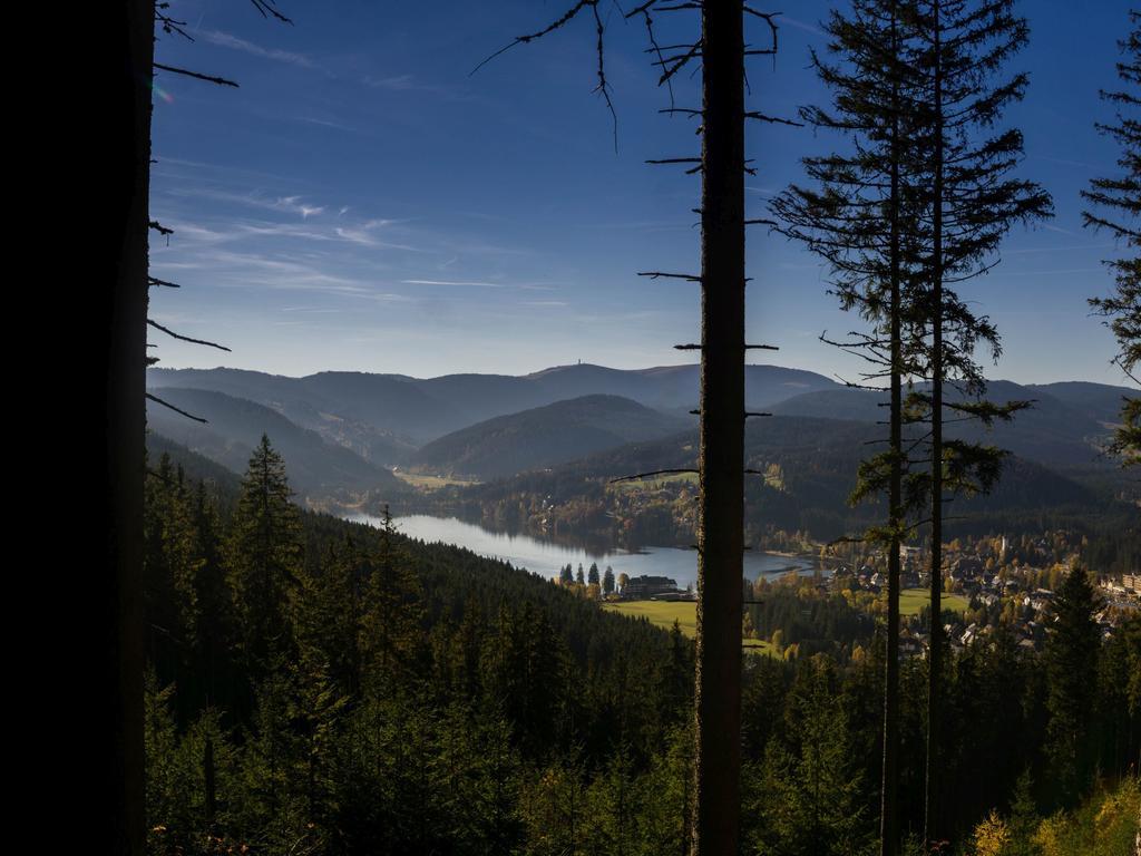 Ferienwohnung Am Eisweiher Titisee-Neustadt Bagian luar foto