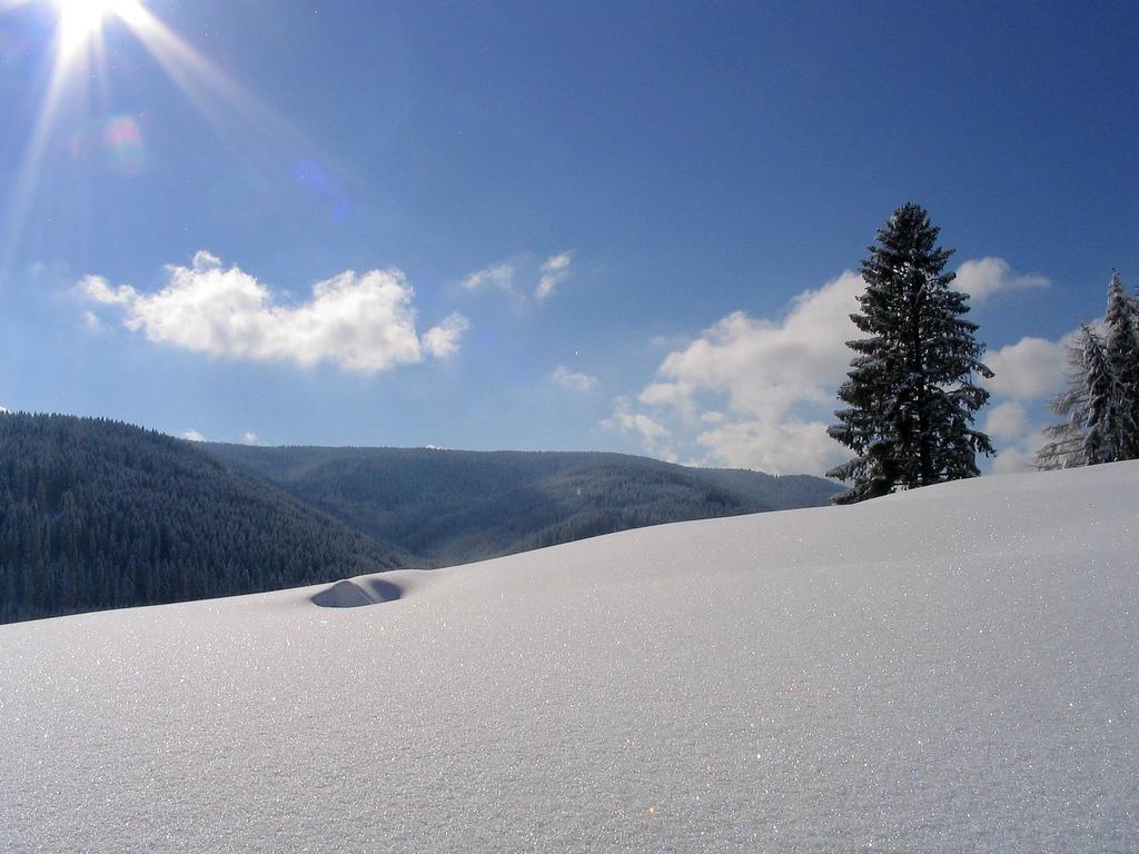 Ferienwohnung Am Eisweiher Titisee-Neustadt Bagian luar foto